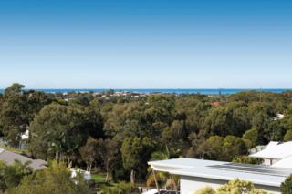 Endeavour Draw 438 Photo